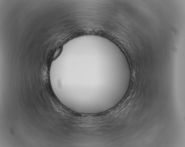 X0000112480963200908171009