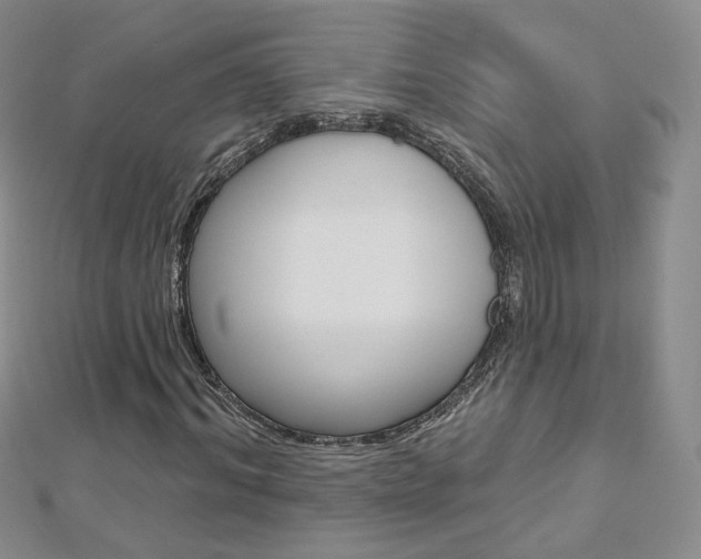 X0000112480964200908171009