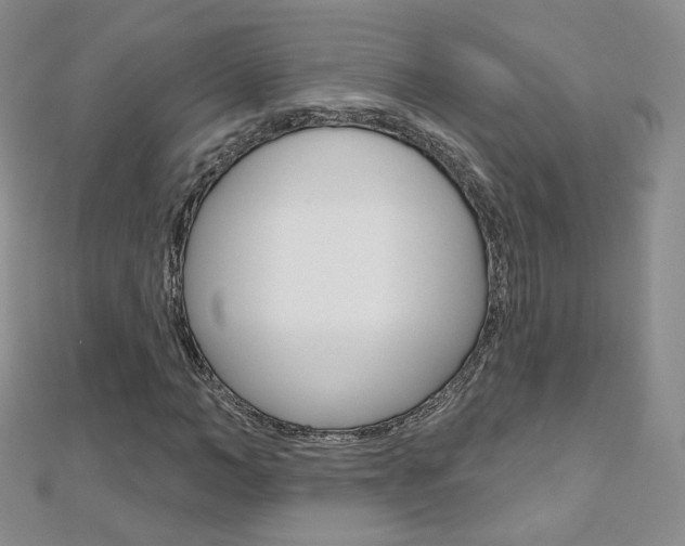 X0000112480966200908171009