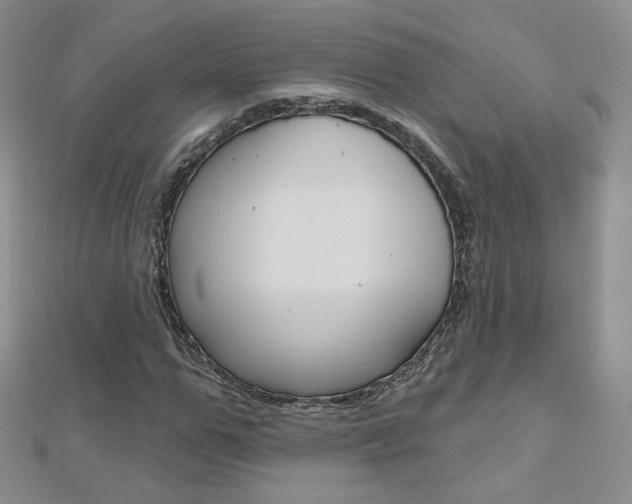 X0000112480967200908171009