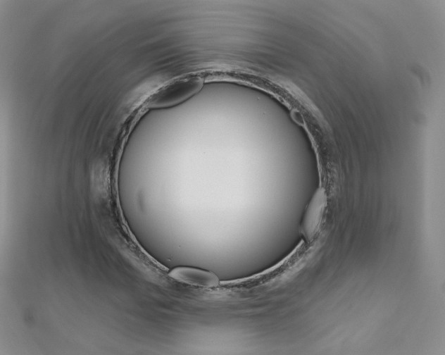 X0000112480969200908171009