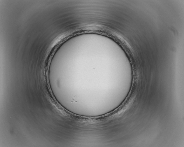 X0000112480970200908171009