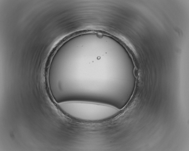 X0000112480972200908171009