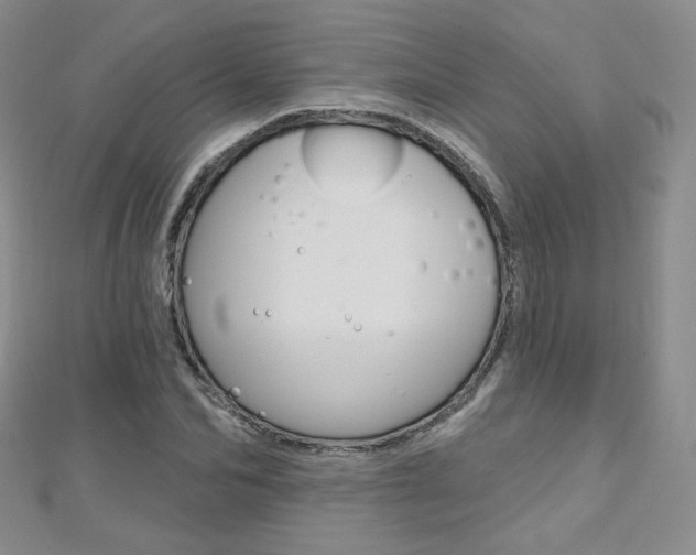 X0000112480974200908171009