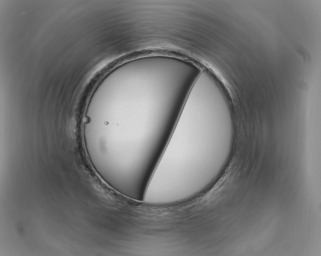 X0000112480975200908171009