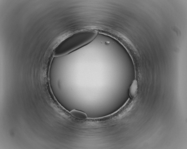 X0000112480977200908171009