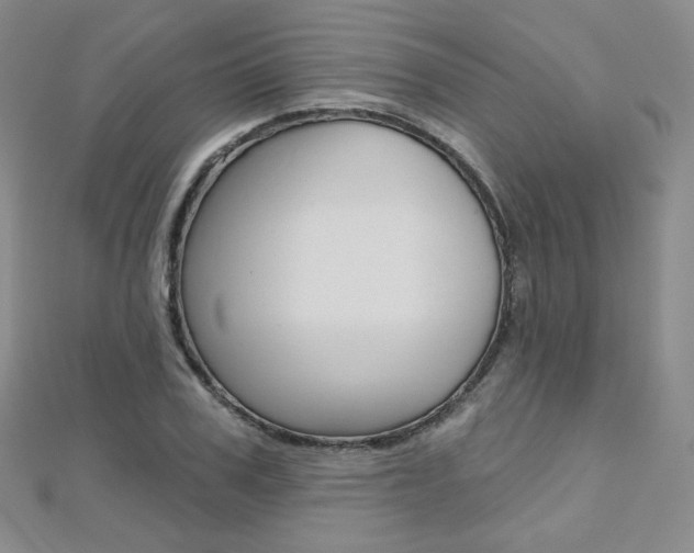 X0000112480979200908171008