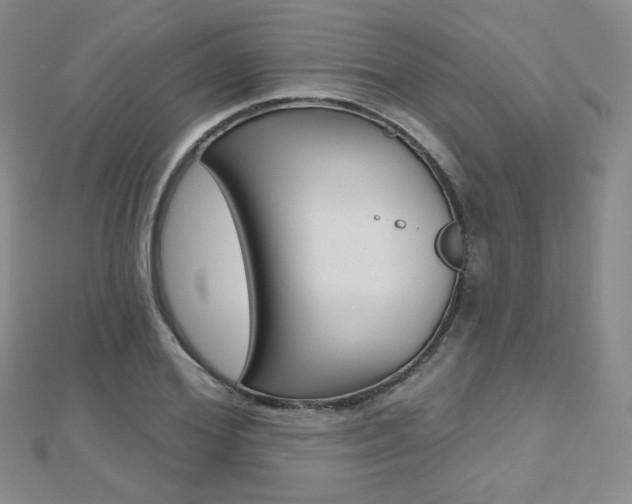 X0000112480980200908171008
