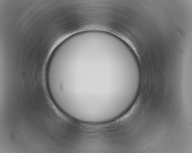 X0000112480981200908171008