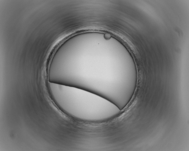 X0000112480982200908171008