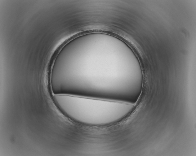 X0000112480983200908171008