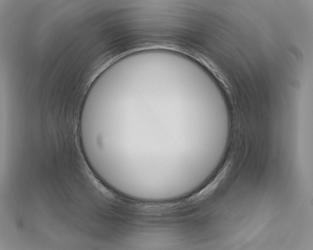 X0000112480985200908171008
