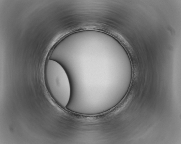 X0000112480986200908171008