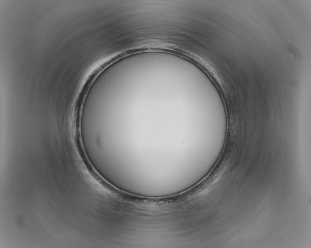 X0000112480987200908171008