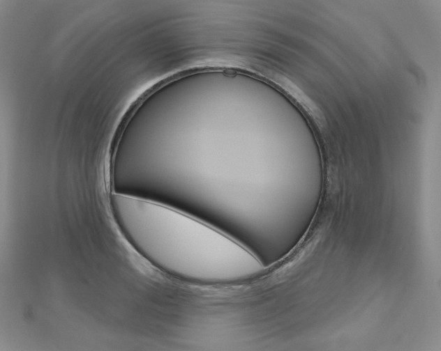 X0000112480988200908171008