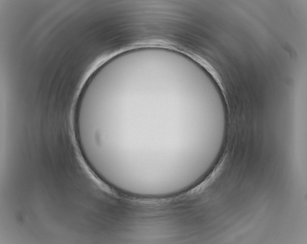 X0000112480989200908171008