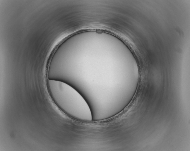 X0000112480990200908171008