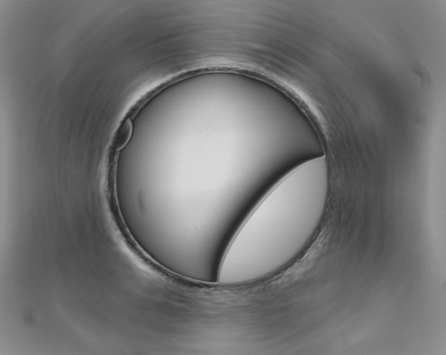 X0000112480991200908171008