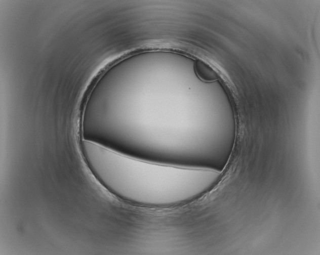 X0000112480992200908171008