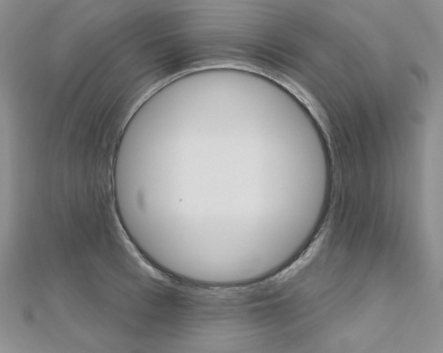 X0000112480993200908171008