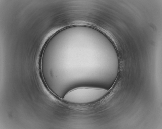 X0000112480995200908171008