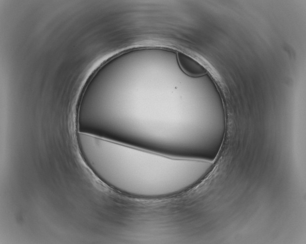 X0000112480996200908171008