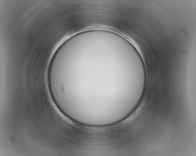 X0000112480997200908171008