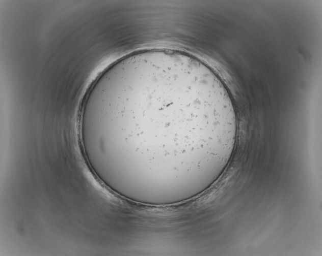 X0000112480998200908171008