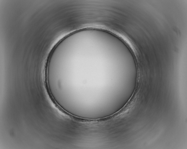X0000112480999200908171008