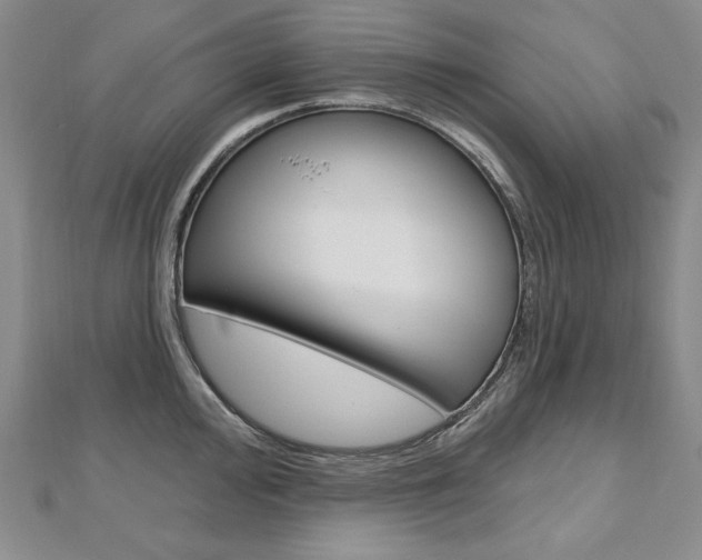X0000112481000200908171008