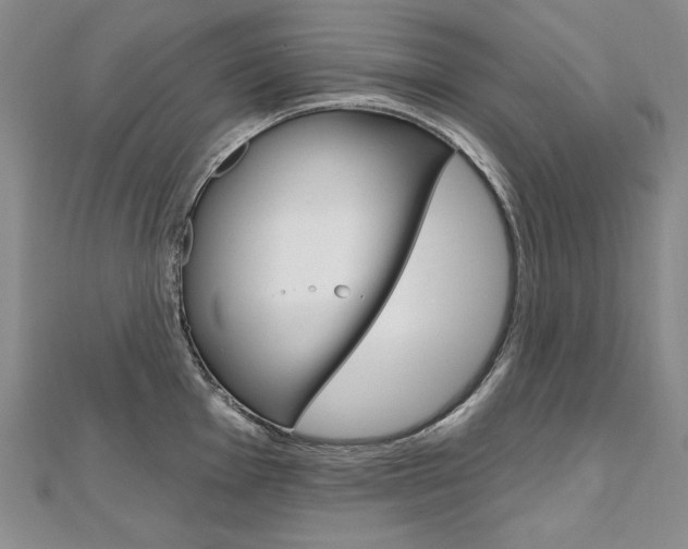X0000112481001200908171008