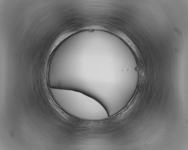 X0000112481002200908171008