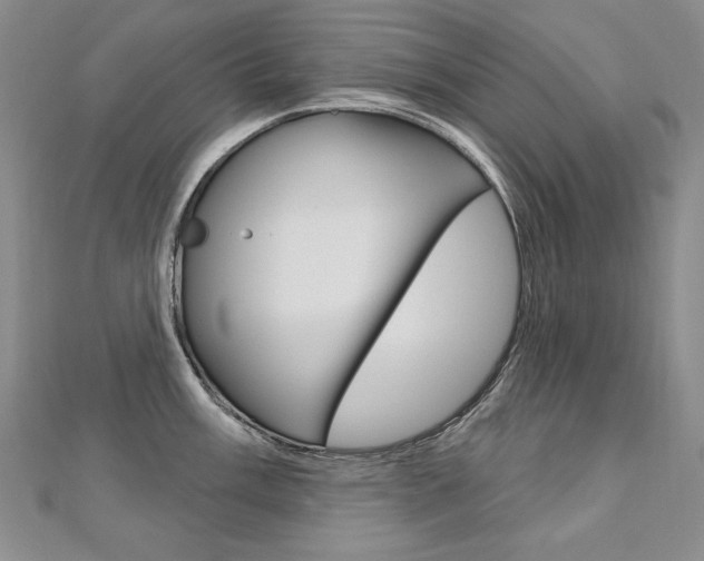 X0000112481003200908171008