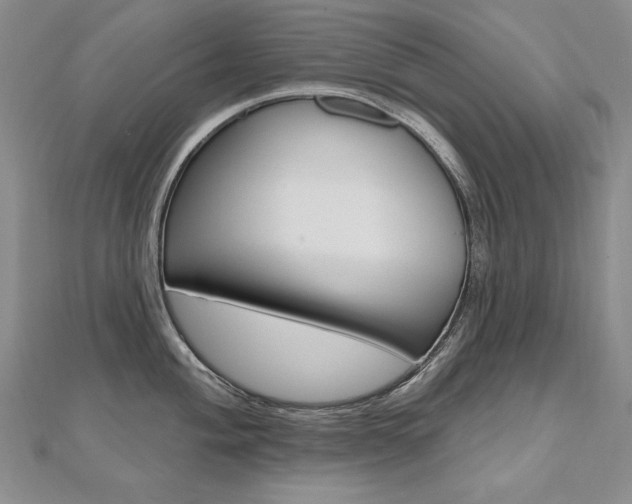 X0000112481004200908171008