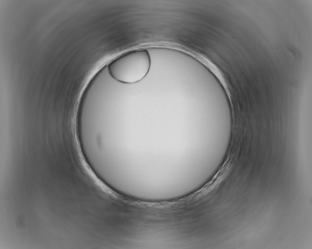 X0000112481005200908171008