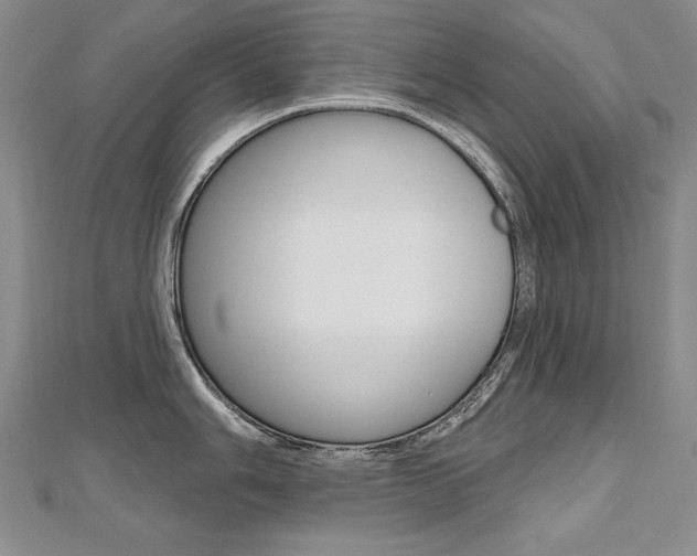 X0000112481006200908171008