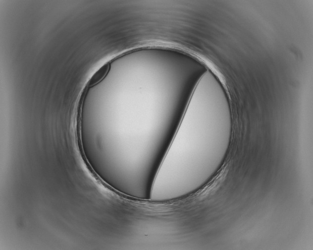 X0000112481007200908171008