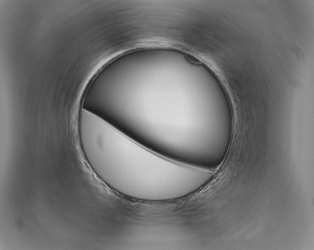 X0000112481008200908171008