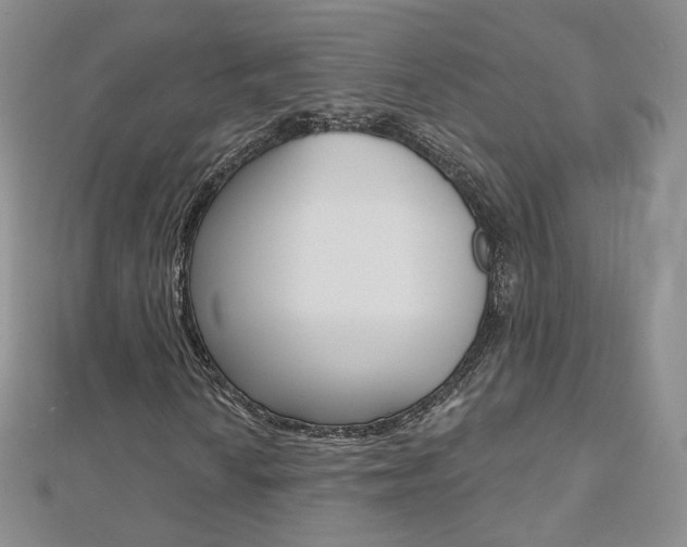 X0000112481010200908171007