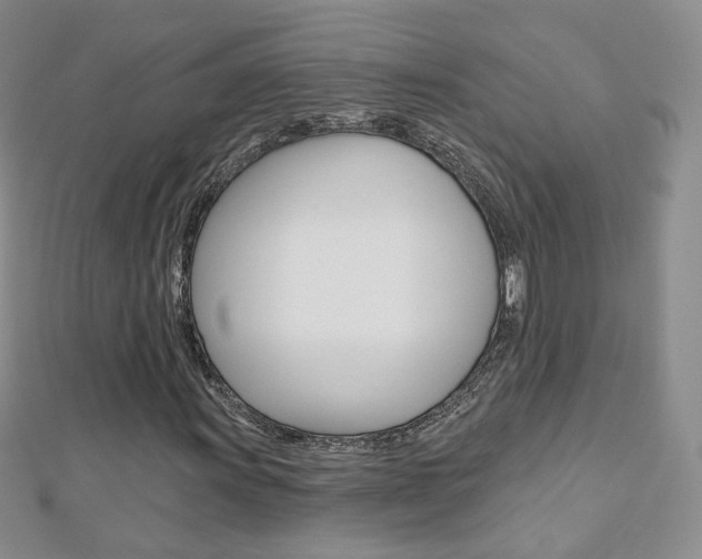 X0000112481011200908171007