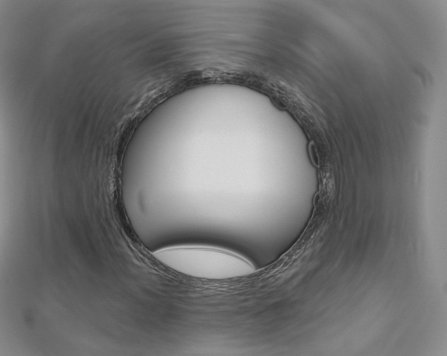 X0000112481012200908171007