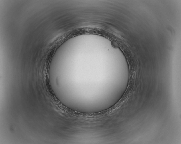 X0000112481014200908171007