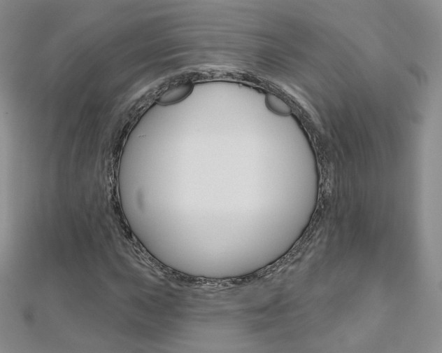 X0000112481015200908171007