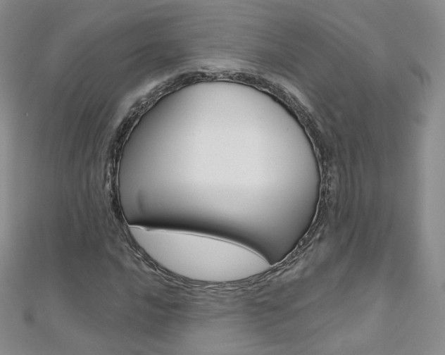 X0000112481016200908171007