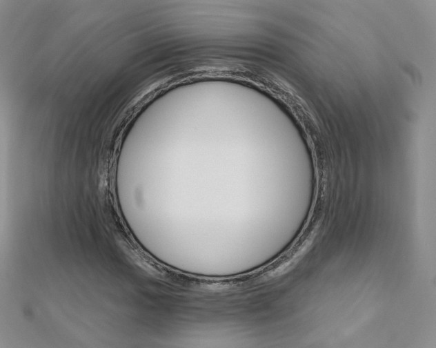 X0000112481017200908171007
