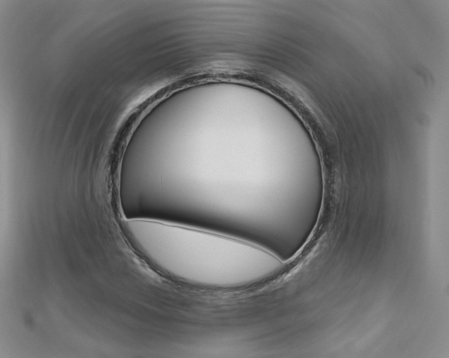 X0000112481018200908171007