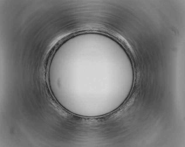 X0000112481019200908171007