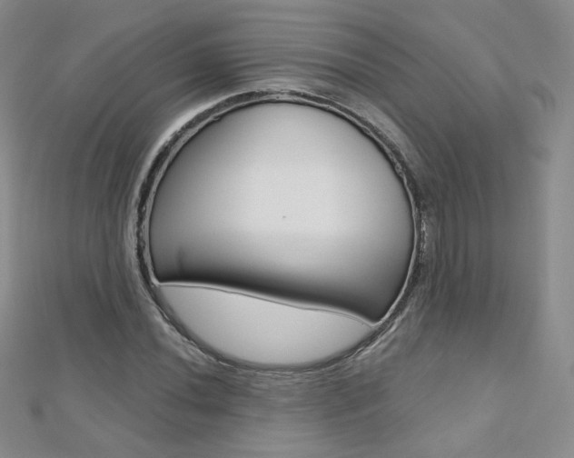 X0000112481020200908171007