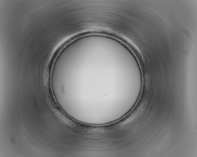 X0000112481021200908171007