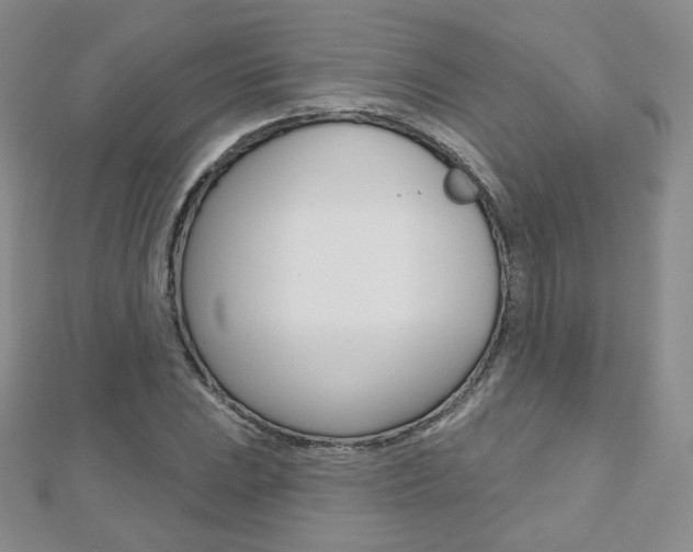 X0000112481023200908171008